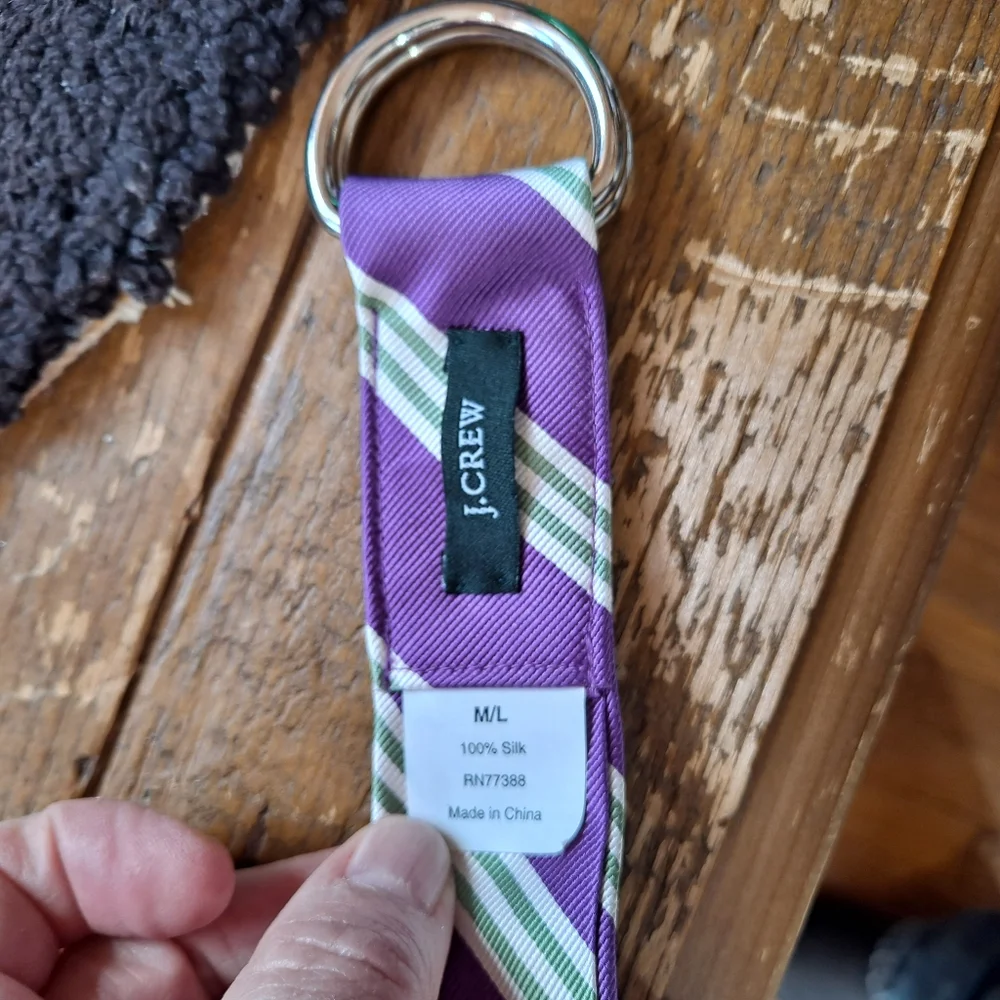 J. Crew Purple And Green Stripe Silk Tie Double D Ring Belt - Picture 2 of 10